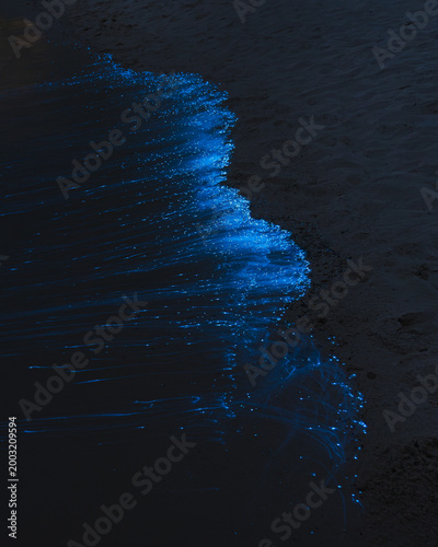 Fotografía Bioluminescence in the ocean at night in Maldives, glowing blue phytoplankton waves on a dark beach, magical natural phenomenon