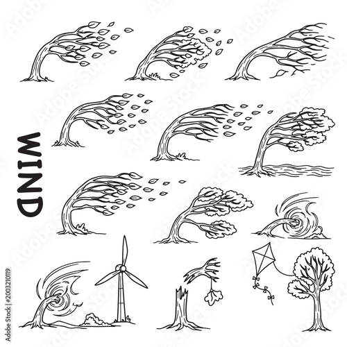 Wind and storm effects on trees sketches showing powerful breeze hurricane and weather conditions.
