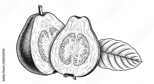Exquisite vintage engraving style illustration of two guavas, one whole and one cut to reveal its seeds, accompanied by a textured leaf.