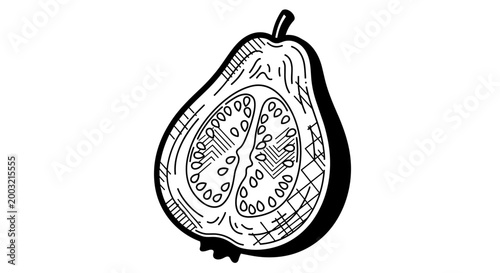Detailed black outline drawing of a halved guava fruit, clearly depicting its segmented interior and seeds, with a subtle textured shadow for depth.