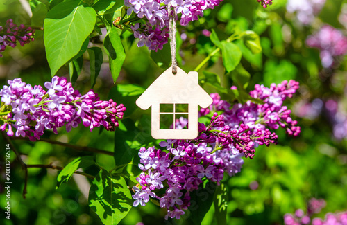 The symbol of the house among the branches of the pink lilac
