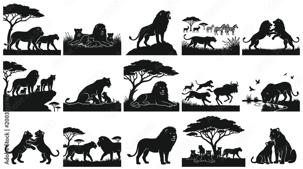 Fototapeta premium African Lion Family Silhouettes - Wildlife and Savanna Big Cat Vector Set