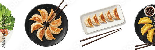 Delicious Asian Dumpling Gyoza Set on Plates with Chopsticks, Dipping Sauce, and Vegetables for Chinese Japanese Food and Restaurant Designs
