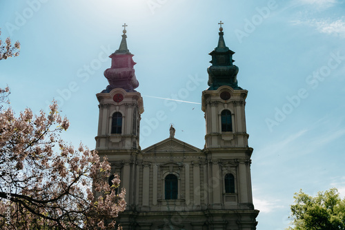 Cathedral of Saint Teresa of Avila in Subotica, Serbia under bright spring sky. Baroque twin towers rise above blooming trees in elegant city setting.