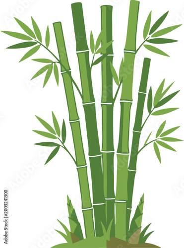 Cluster of green bamboo stalks with leafy branches, illustrated in a clean vector style representing natural growth and tropical vegetation.