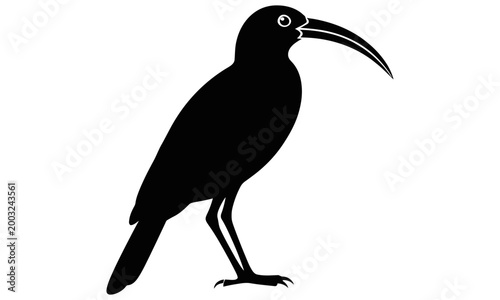Sua Nacha Bird” does not appear to be a widely recognized or documented species, but it can be described as a small, colorful bird often imagined with vibrant feathers and a lively personality.