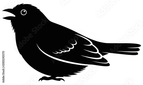 Sua Nacha Bird” does not appear to be a widely recognized or documented species, but it can be described as a small, colorful bird often imagined with vibrant feathers and a lively personality.