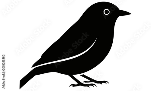 Sua Nacha Bird” does not appear to be a widely recognized or documented species, but it can be described as a small, colorful bird often imagined with vibrant feathers and a lively personality.