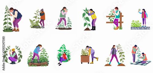 Vector illustration collection of young women and girls studying, observing, and photographing stinging nettle plants in various outdoor nature settings.