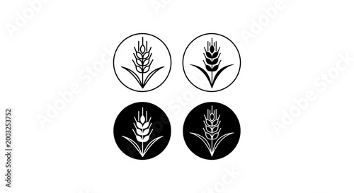 wheat ear icon set four variations in black and white for agriculture