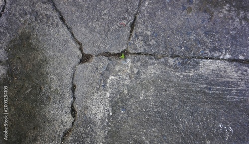 cement texture, mossy gray cement wall, suitable for background