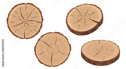 Set of four wooden tree trunk cross sections showing distinct annual growth rings and natural textures on a clean white background.