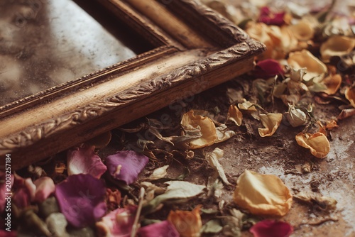 wilted petals scattered beside a photo frame