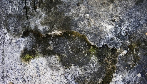 background texture of mossy wall, uneven cement floor surface with moss