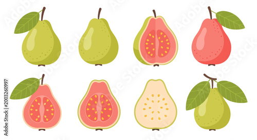 Cartoon guava fruit collection