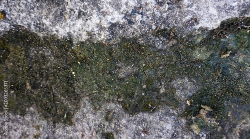 Old walls covered in green moss and small plants evoke a natural and humid atmosphere.