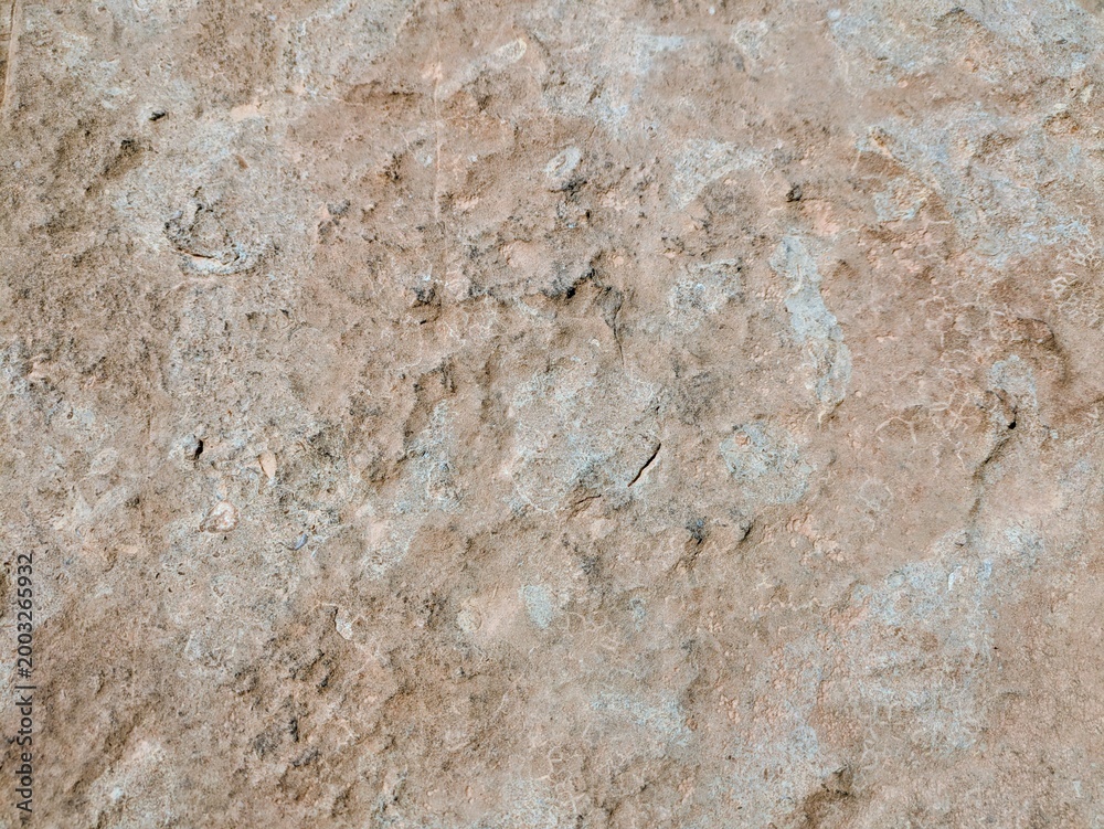 Obraz premium Macro shot of natural weathered stone surface, geological background.