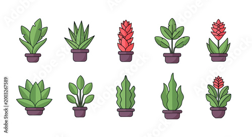 Collection of potted plants illustrations