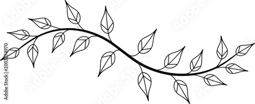 Elegant hand drawn leaf branch divider with wavy stem and delicate foliage for wedding invitations cards and decorative floral borders. 