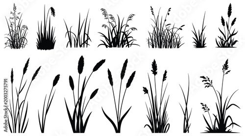 Fotografi Nature's Whispers: Elegant black silhouette set of wild grass