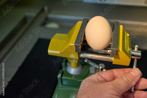 Photography Chicken egg clamped in a metal vise