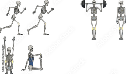 Skeleton Character Fitness Vector Set Featuring Human Skeletons Running Lifting Weights Doing Yoga and Exercising for Health Anatomy and Spooky Halloween Gym Designs