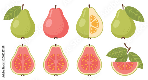 Colorful guava fruits illustration