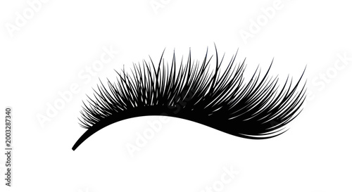 Black false eyelashes on white background
