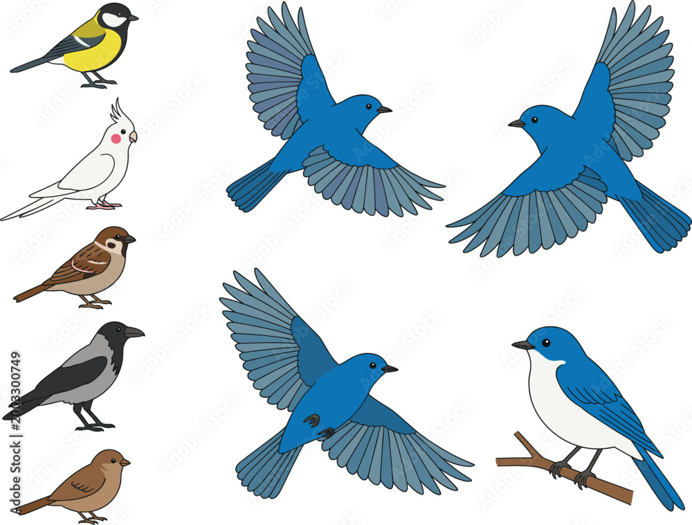 Fototapeta premium Set of Flying and Perched Birds Vector Illustrations - Diverse Bird Species in Colorful Design