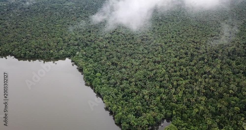 Aerial view of Amazon rainforest with clouds rising above jungle and river smooth drone ascent through mist 4K