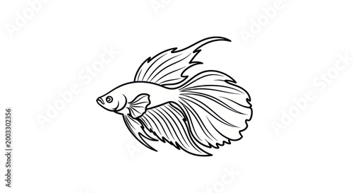 Betta fish illustration