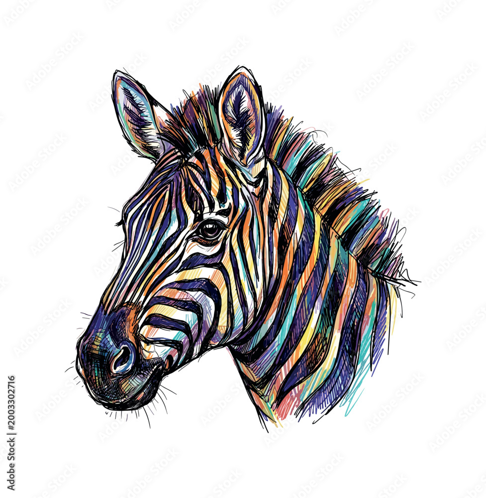 Fototapeta premium Vibrant zebra portrait with colorful stripes and artistic sketch style