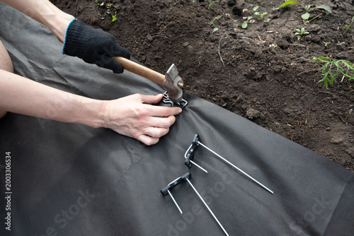 A person wearing boots and gloves is kneeling on the ground on a flower bed installing black weed fabric using galvanized steel pegs and a mallet. Concept image for DIY landscaping, weed protection.
