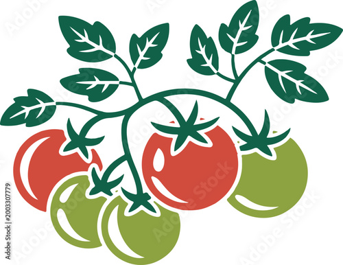 Vine with ripe and unripe tomatoes illustration food illustration vegetable