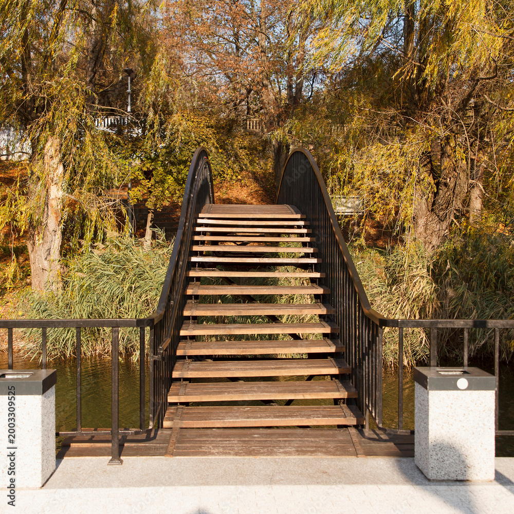 Obraz premium Wooden footbridge with stairs over water in an autumn park with golden trees