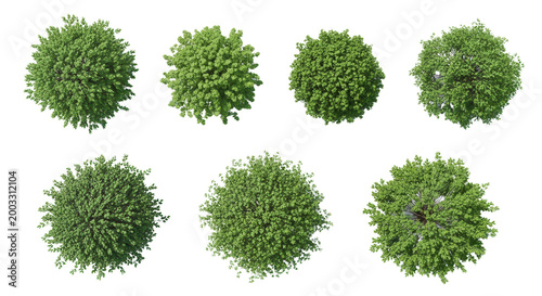 Top view set of green trees Isolated on transparent background, Use for visualization in architectural design or garden