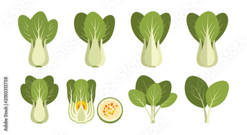Fresh bok choy collection on white