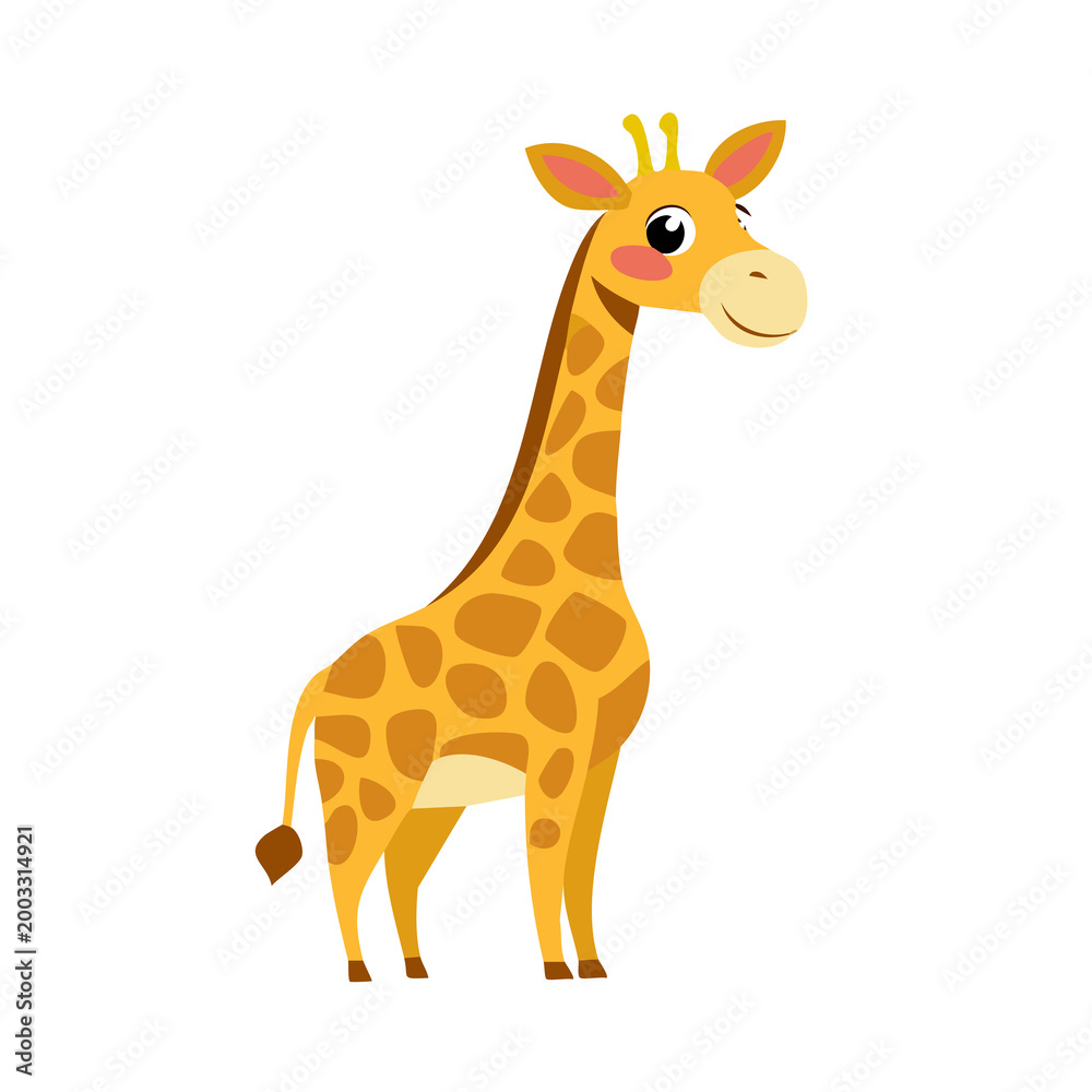 Obraz premium giraffe isolated on white