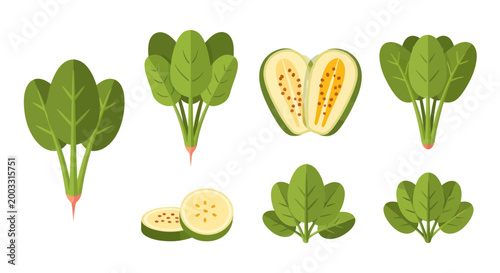 Tableau sur toile Fresh green spinach and fruit vector illustration