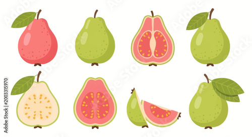 Photos Fresh guava fruit set illustration