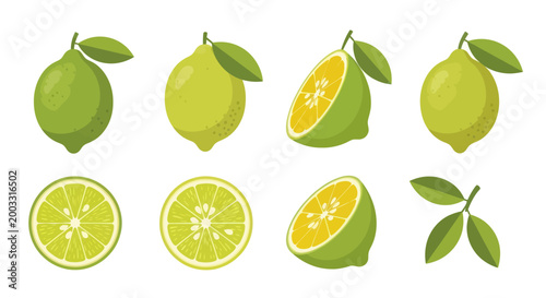 Foto Fresh limes isolated vector illustration