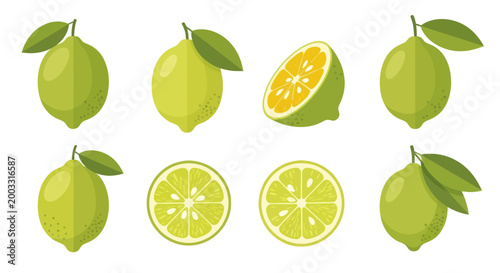 Foto Fresh limes vector illustration