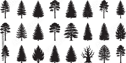 Pine and fir trees silhouette set featuring various coniferous evergreen spruce and forest tree shapes isolated on white background for nature vector illustration collection