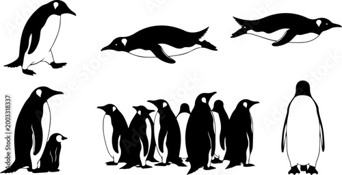 Slika na platnu Penguin Silhouette Bundle – Antarctic Bird and Colony Vector Set with Swimming P