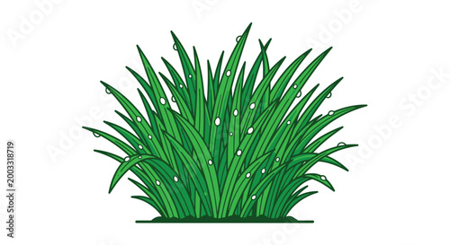 Green grass illustration with water droplets on a white background