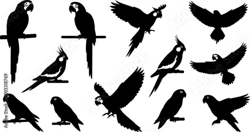 Parrot Silhouette Bundle – Tropical Bird Collection with Macaw and Cockatoo Vector Set