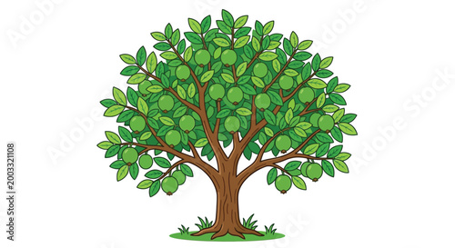 Cartoon guava tree with green fruit and leaves on white background