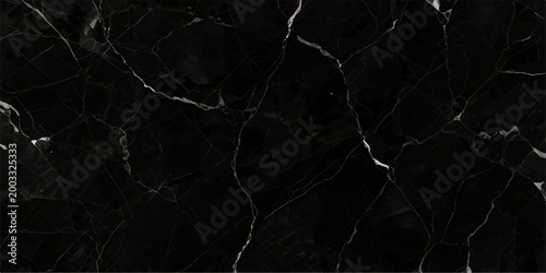 Premium black marble texture featuring bold metallic silver veins and subtle white lines, polished dark stone surface ideal for elegant modern interiors and graphics
