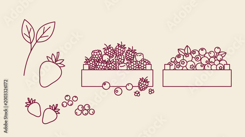 Hand-drawn vector line art of berries in crates and a market cart, depicting fresh produce and leaves on a beige background