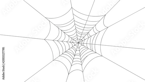 Intricate white spider web design for Halloween or nature themes spreading across a plain white background for spooky decor.